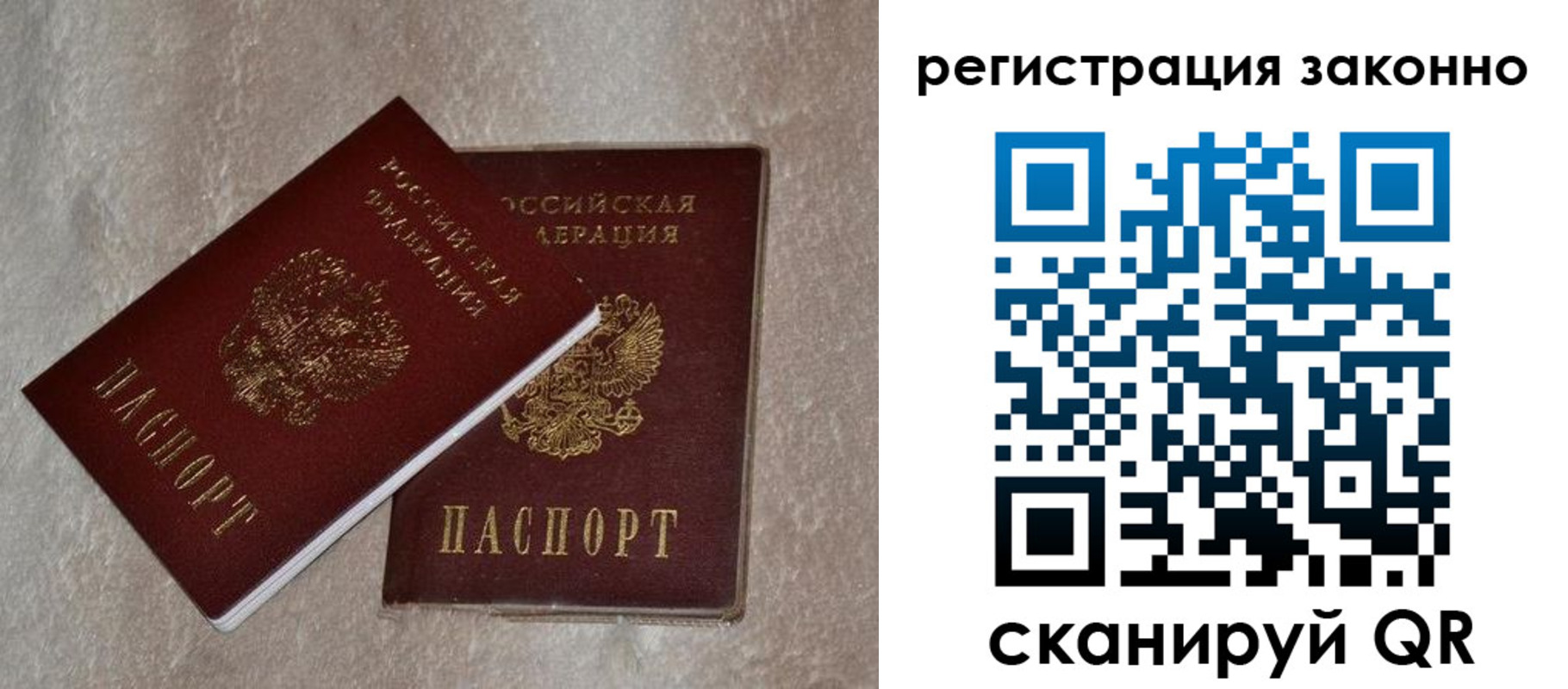 прописка законно в Фокино